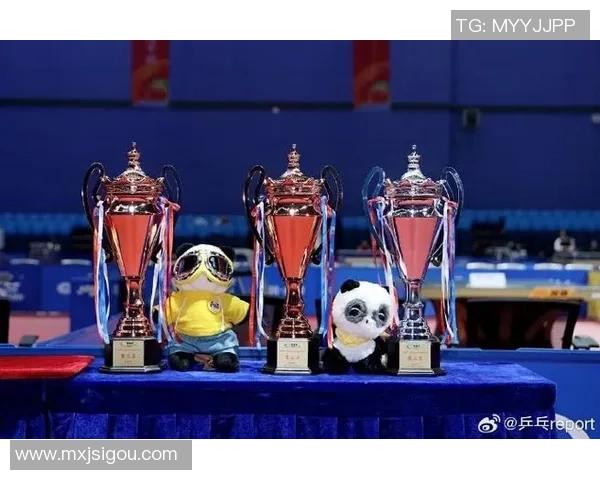 南京乒乓球队在精英赛中的耐力表现分析与启示