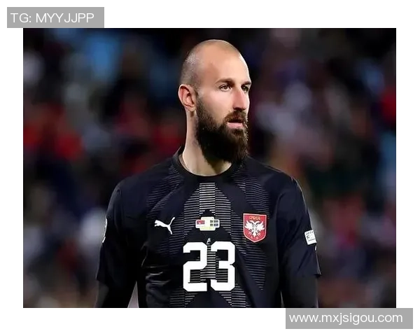 塞尔维亚足球明星萨维奇的辉煌历程与未来展望