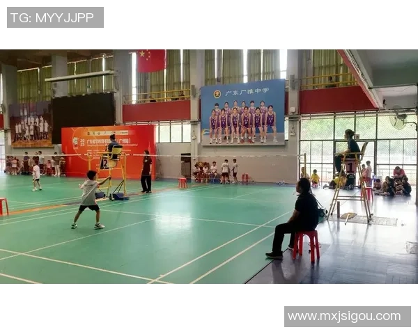 深圳羽毛球队技术解析：从基础训练到比赛策略的全面探讨