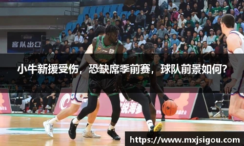 小牛新援受伤，恐缺席季前赛，球队前景如何？