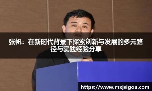 张帆：在新时代背景下探索创新与发展的多元路径与实践经验分享