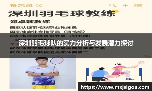 深圳羽毛球队的实力分析与发展潜力探讨