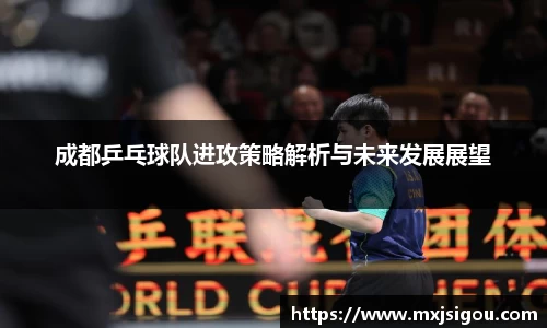 成都乒乓球队进攻策略解析与未来发展展望