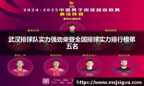武汉排球队实力强劲荣登全国排球实力排行榜第五名