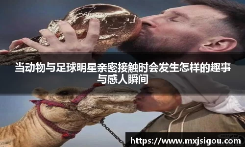 当动物与足球明星亲密接触时会发生怎样的趣事与感人瞬间